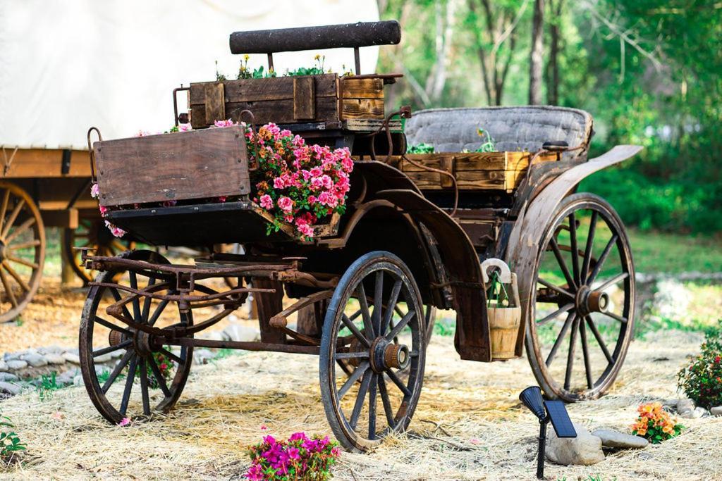 Cozy Wild West Covered Wagon Next To River Ґрантс-Пасс Екстер'єр фото